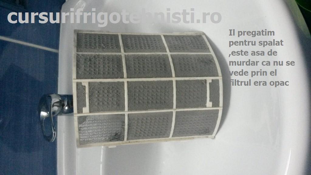 20150407_085548 (Custom).jpg