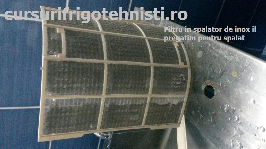 20150407_100101 (Custom).jpg