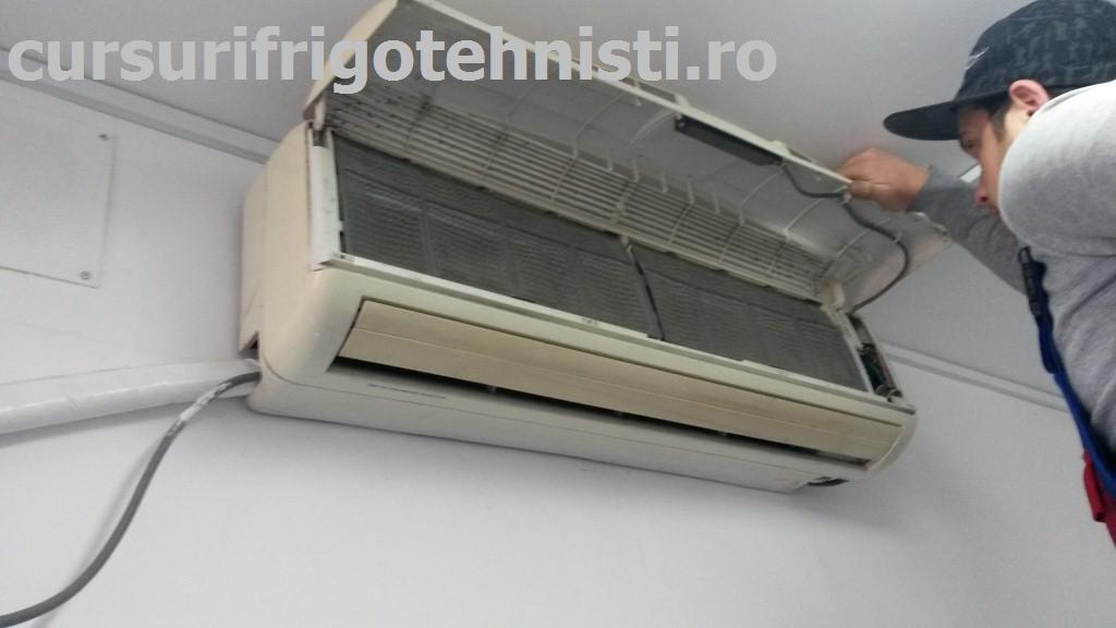 20150407_105742 (Custom).jpg