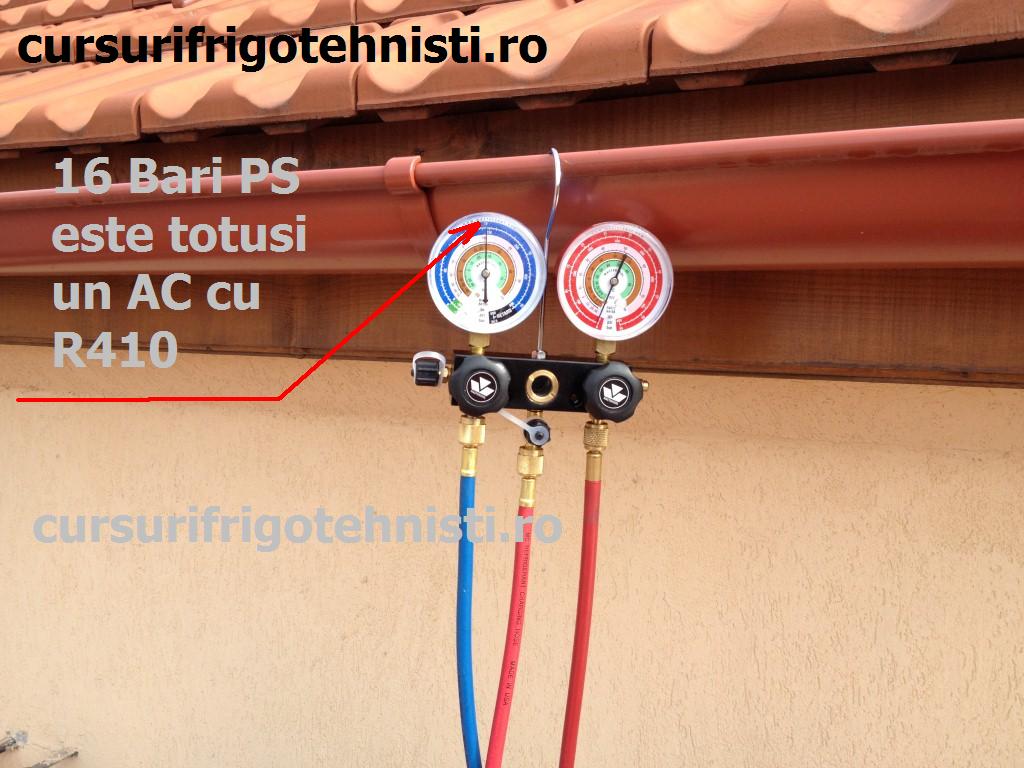 IMG_2978 (Custom).JPG