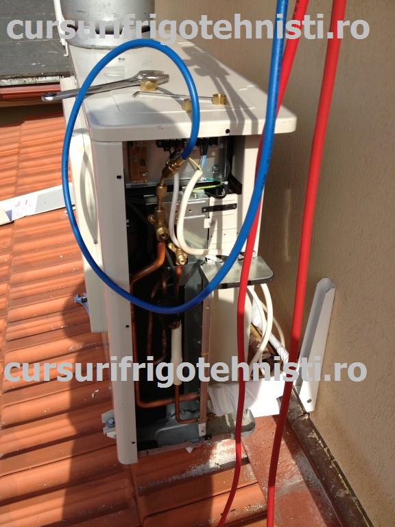 IMG_2981 (Custom).JPG