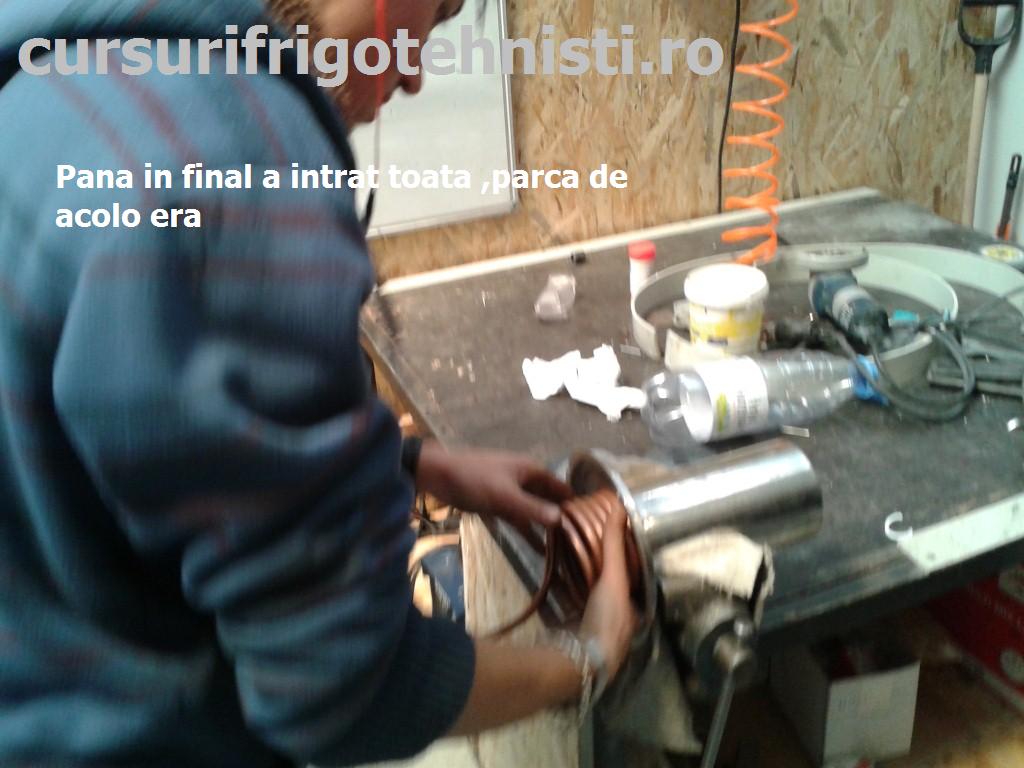 20150518_120021 (Custom).jpg