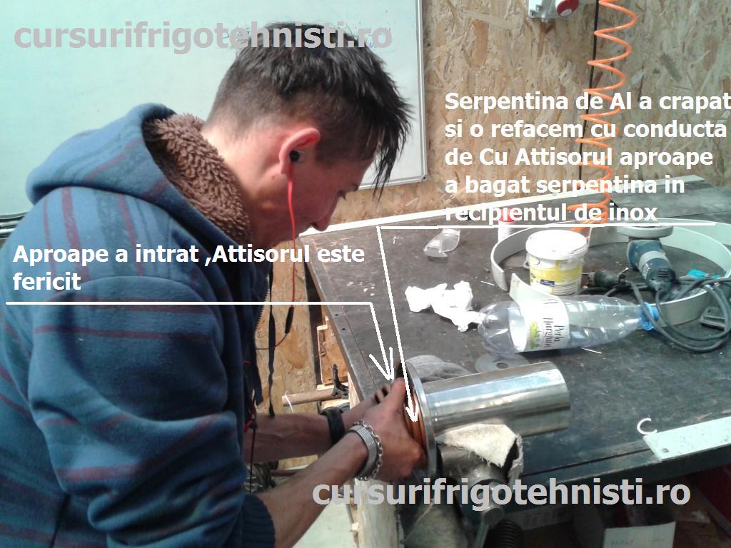 20150518_120046 (Custom).jpg