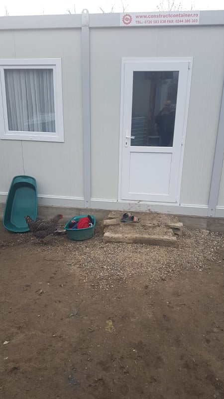 fetita din container.jpg