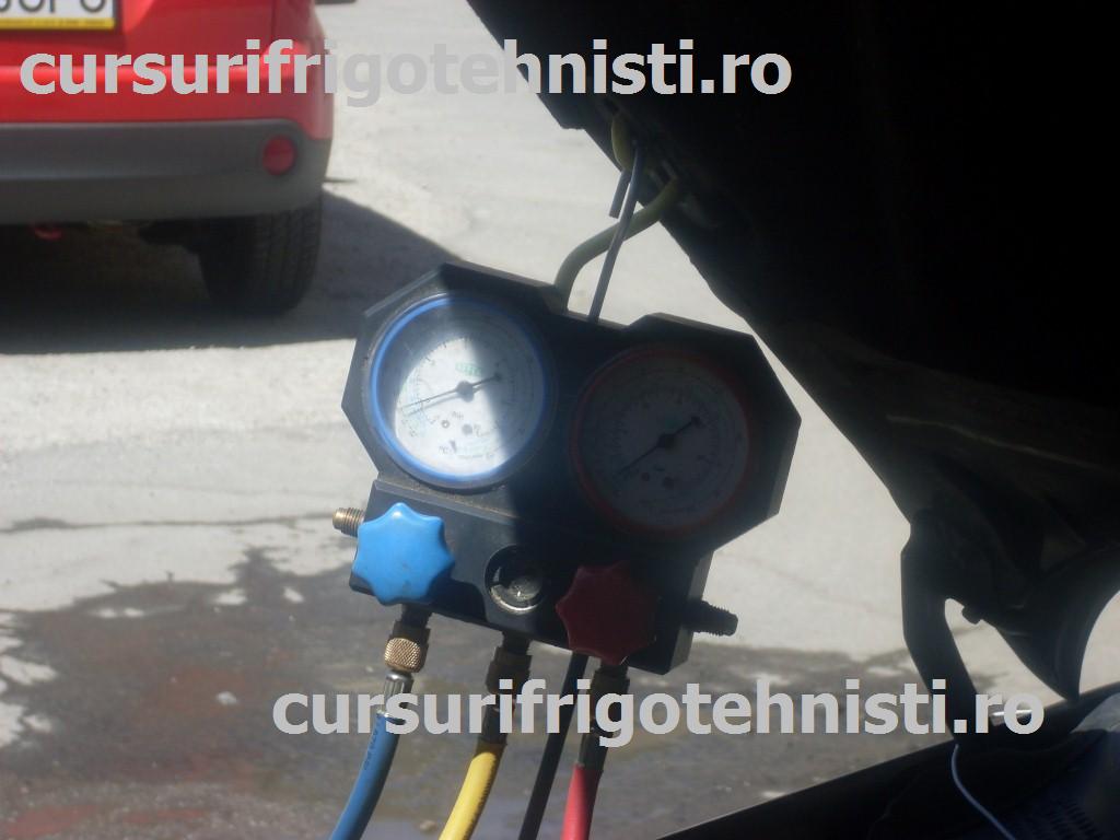 SDC11914 (Custom).JPG