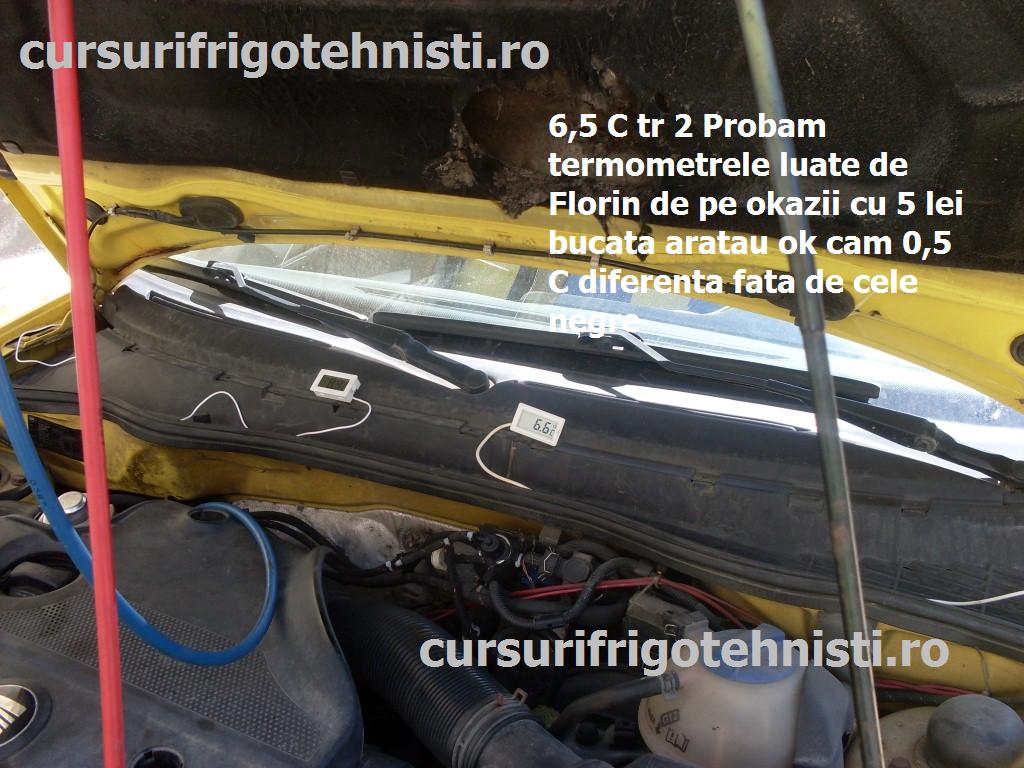 SDC11881 (Custom).JPG