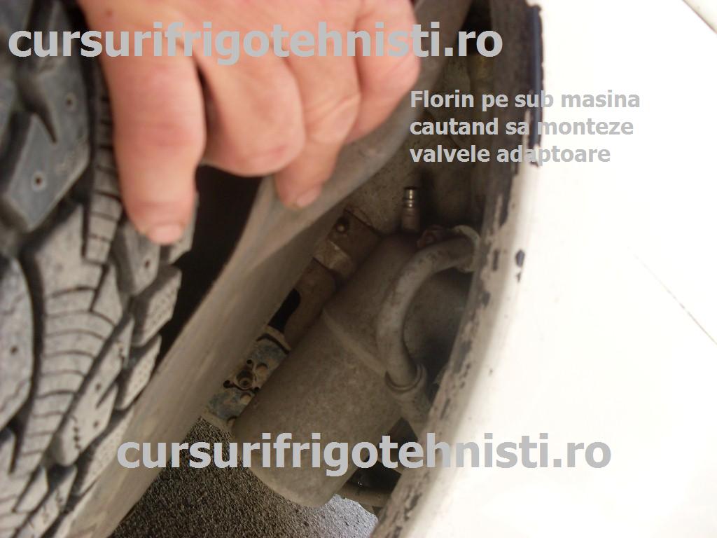 florin sub masina.JPG