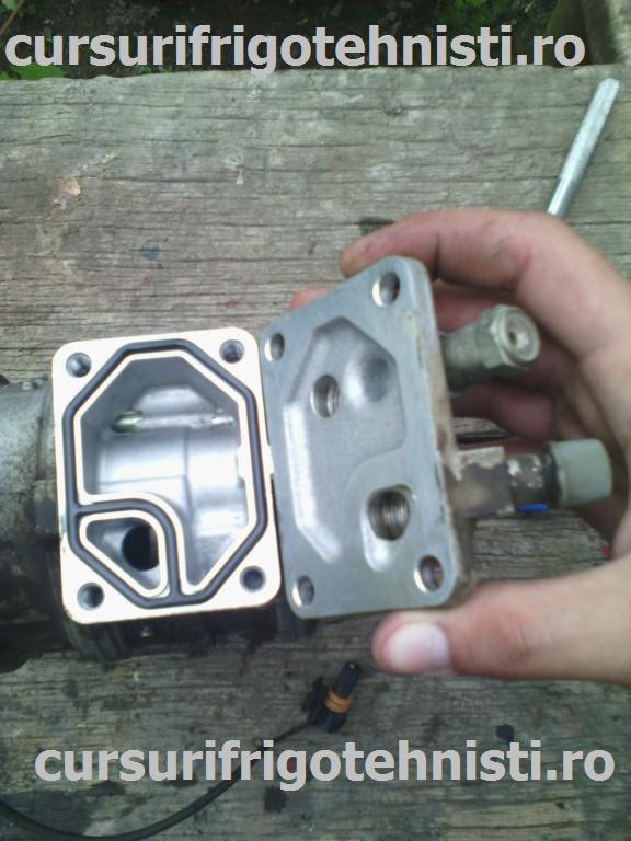 IMG_20150514_172900 (Custom).jpg