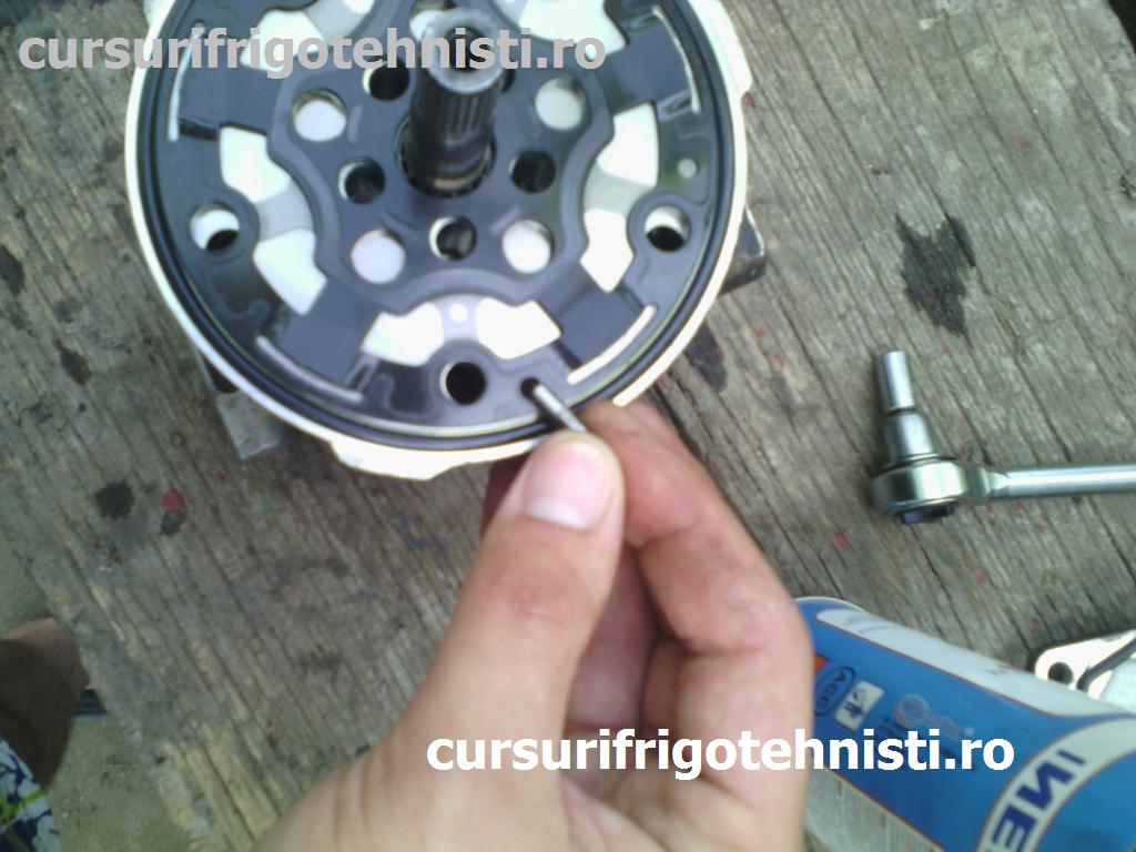 IMG_20150514_170754 (Custom).jpg