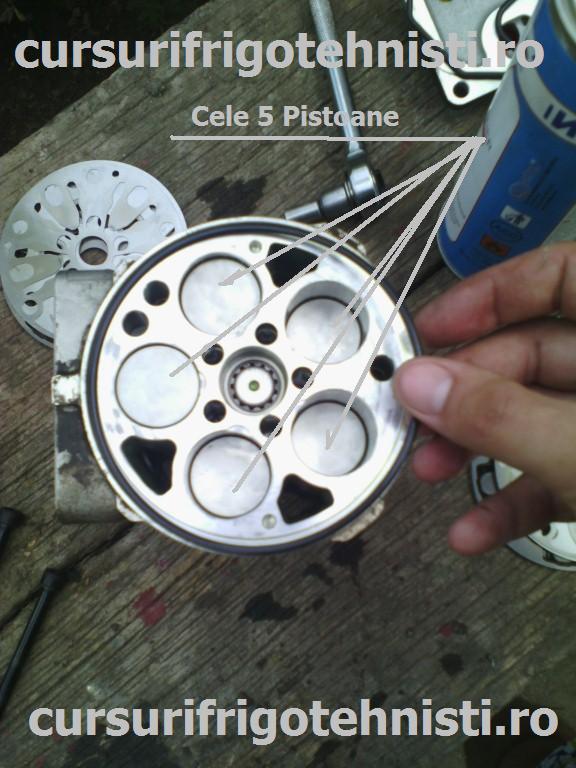 IMG_20150514_170117 (Custom).jpg