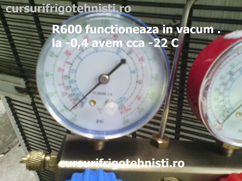 IMG_20150529_142010 (Custom).jpg