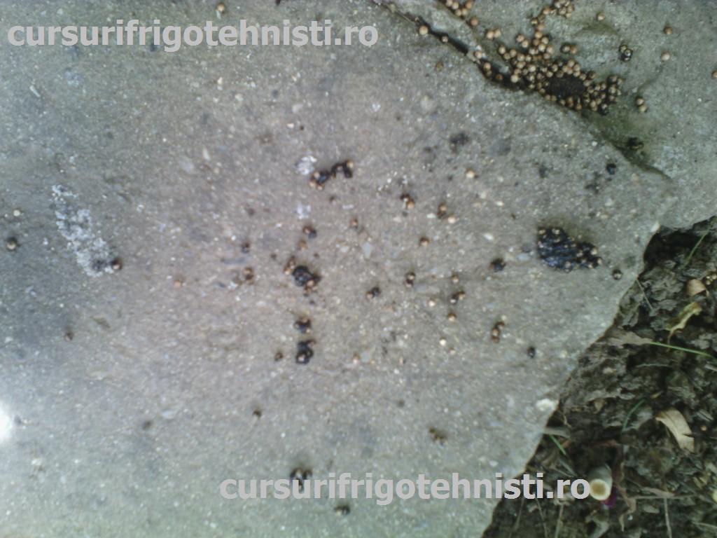 IMG_20150529_115045 (Custom).jpg