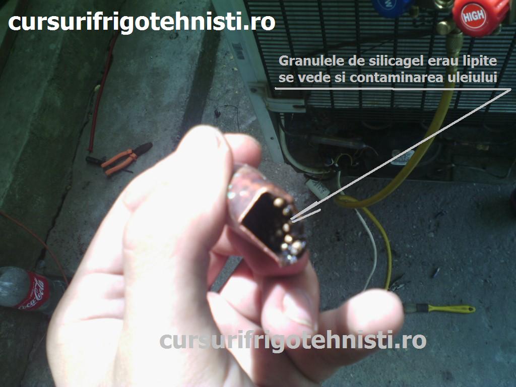 IMG_20150529_115032 (Custom).jpg