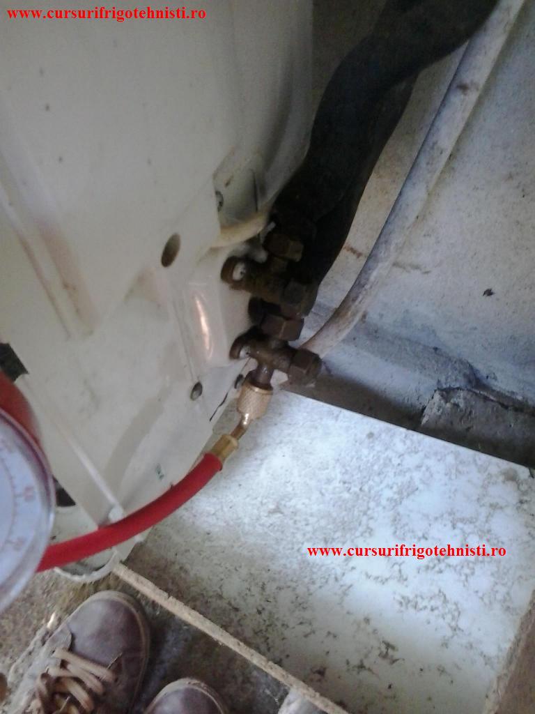 2014-08-13170216_zps428595ff Daniel 2.jpg